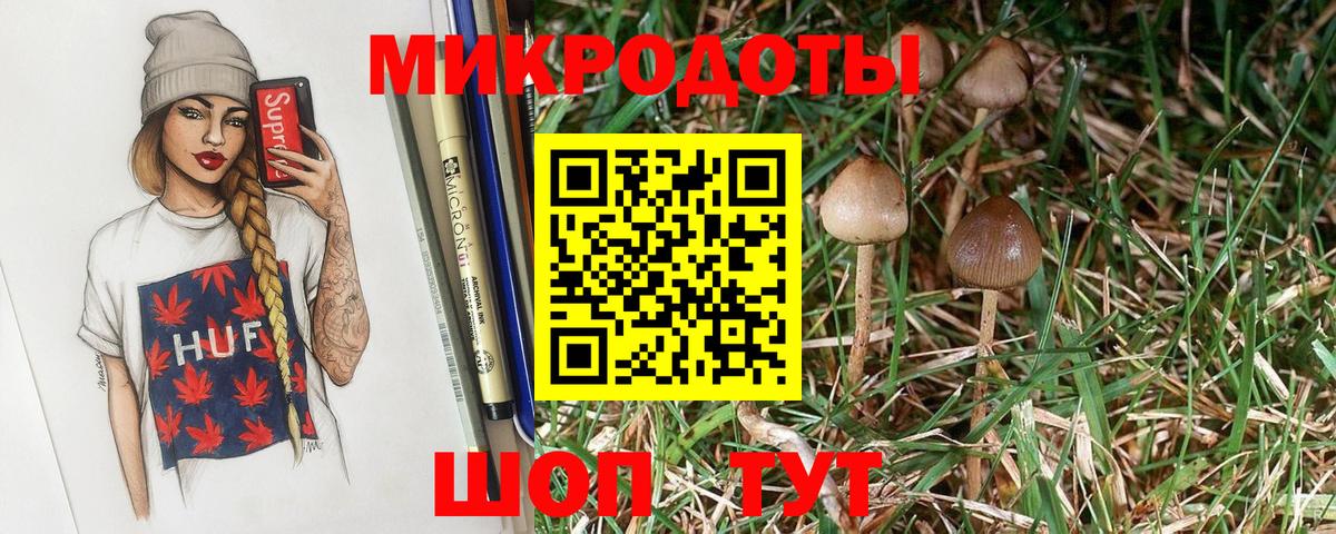 Псилоцибиновые грибы мицелий  Вход с VPN  Новошахтинск  Галлюциногенные грибы мухоморы 